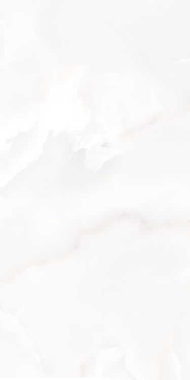 Matrix Onix White Matte 12 x 24